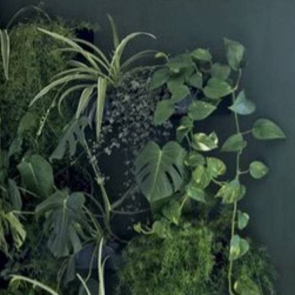 Meet your Posher, Philline - Picture 1 of 1